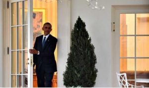 Obama apoya protestas; dice valores de Estados Unidos están en peligro