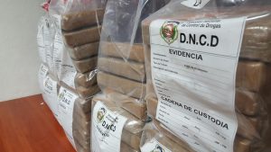 SAMANA: DNCD ocupa 87 paquetes de drogas en distintos operativos