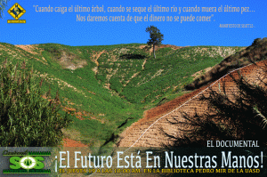 Estrenan documental sobre Constanza