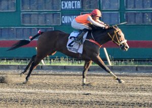 La Mocanita se impone en el V Centenario La Mocanita se impone en el V Centenario