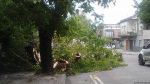 URUGUAY: Heridos y destrozos tras fuerte tormenta URUGUAY: Heridos y destrozos tras fuerte tormenta