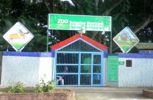 MOCA: Disponen cierre zoológico municipal