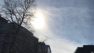 WASHINGTON: De la primavera al invierno en 24 horas