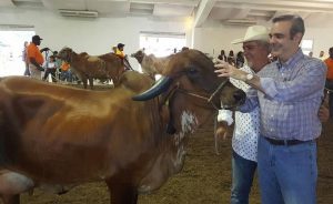 Abinader estima que productores pueden abastecer mercado nacional