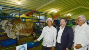 CEA pone al servicio de productores ganaderos servicios de “CEAGANA FIV”