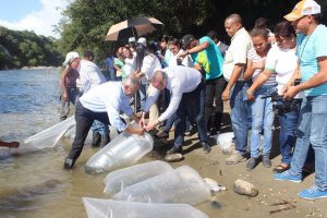 SANTIAGO: Liberan 10 mil alevines en el Yaque