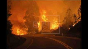 PORTUGAL: Aumentan a 63 los muertos por gran incendio PORTUGAL: Aumentan a 63 los muertos por gran incendio