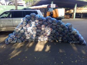 AZUA: Ejército decomisa ajo contrabando y recupera vehículos