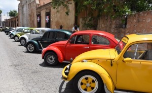 Celebran Día Mundial del Cepillo en la Ciudad Colonial