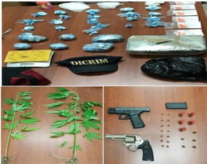 SANTIAGO: DICAN incauta drogas, plantaciones y armas