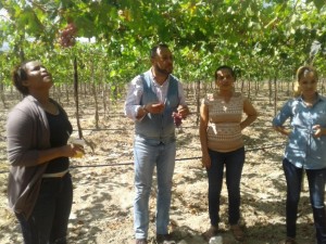 NEIBA: Michael Miguel resalta variedad de uva Red Globe
