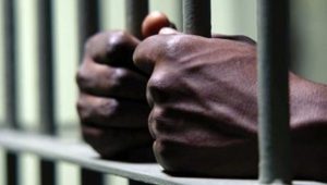 LA ROMANA: Haitiano amputa brazo a su hijastro de tres años