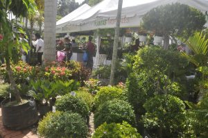 Jardín Botánico inaugura Festival de Plantas y Flores