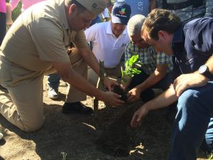 Medio Ambiente inicia recuperación forestal de Luperón