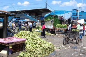 Plátanos y pollo suben de precio debido a daños de huracanes