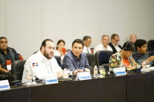 Líneas de cruceros muestran interés en puertos de RD