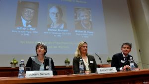 SUECIA: Tres estadounidenses ganan este lunes el Nobel Medicina
