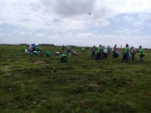NIGUA: Autoridades dominicanas inician Mes de la Reforestación