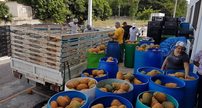 Proponen Estado compre acciones de agronegocios imagen