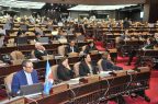 El Senado envía a los diputados el proyecto de ley de partidos políticos