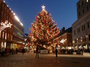 El árbol de Navidad, más que un adorno, alivio para medioambiente
