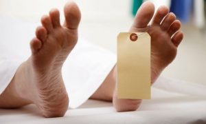 ELIAS PIÑA: Aumentan a siete los muertos tras intoxicarse con clerén