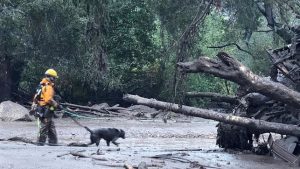 CALIFORNIA: Aumentan a 20 los muertos por las riadas