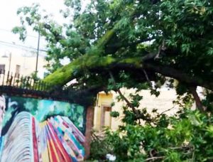 PUERTO PLATA: Fuertes vientos con lluvias afectan comunidades PUERTO PLATA: Fuertes vientos con lluvias afectan comunidades