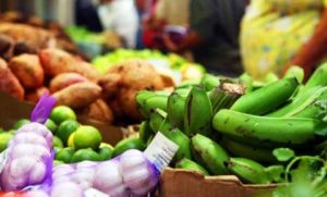 Producción agropecuaria de R. Dom. creció 5.9% en 2017, según ministro