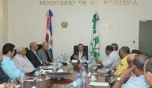 El Ministerio de Agricultura garantiza abastecimiento arroz en Dominicana