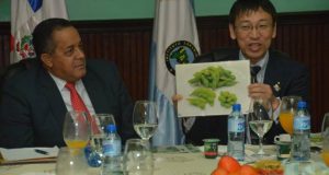 IAD y Alcaldía Japón coordinan cultivo de productos nipones en Constanza