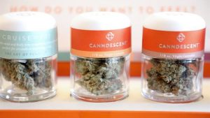 EEUU: La marihuana se abre paso pese a las amenazas de Trump