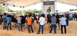 SABANETA: IV Feria Expomontaña 2018 supera expectativas