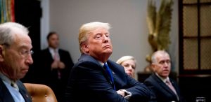 Trump acusa a los demócratas de provocar cierre parcial del Gobierno Trump acusa a los demócratas de provocar cierre parcial del Gobierno