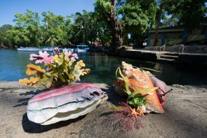 NAGUA: “Carnavarengue”, único carnaval marino en el mundo NAGUA: “Carnavarengue”, único carnaval marino en el mundo