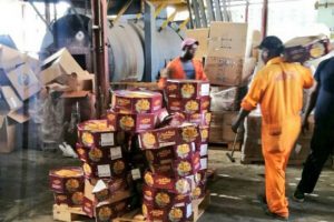 Salud decomisa cargamento 3,565 libras de queso vencido en Caucedo