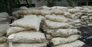 PEDERNALES: Apresan sospechosos por agresión a Oficina de Medio Ambiente