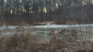 N. YORK: Fallece niño hispano de 11 años cayó a lago helado de Queens N. YORK: Fallece niño hispano de 11 años cayó a lago helado de Queens