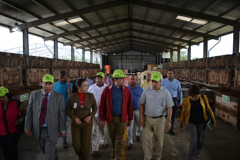 Cacaoteros expresan a Bisonó necesidad de un gobierno que impulse la producción imagen