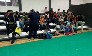 MEXICO: Detienen a 229 migrantes y 6 presuntos traficantes de personas