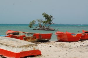 OPINION: Barahona y gobiernos locales a espalda del turismo sustentable