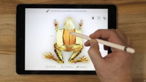Apple devela función de lápiz digital para iPad más barato Apple devela función de lápiz digital para iPad más barato
