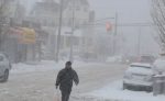 Tormenta Toby paraliza gran parte costa este de los Estados Unidos