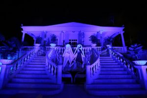 Primera Dama llama crear ambiente adecuado a personas con autismo