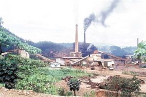 Regidor PHD denuncia vertido de fuel oil en Haina por parte Falconbridge