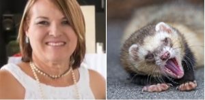 Analizan muerte por posible rabia; habrá sanciones si hubo descuido