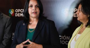 JCE revisará otra vez solicitud de reconocimiento del partido de Minou Tavárez