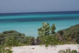 Juez reconoce al Estado titularidad parcela en Bahía de las Águilas