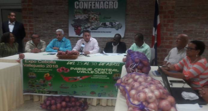 Importaciones de cebollas afectan productores dominicanos imagen