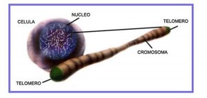 Avances que sugieren un “mundo mejor”
